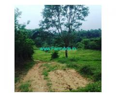 10 Acre agriculture land for sale in Sakleshpur