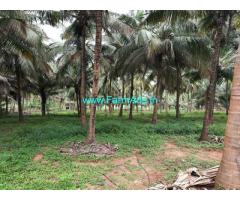 4.60 acre agriculture farm land sale at chandrapuram near. Walayar.