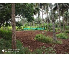 1.15 acre coconut farm for sale at kozhinjampara, chittur