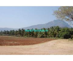 Pollachi good water source coconut farm and agricultural land  for sale