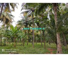 Theni district near periyakulam 1 acre coconut farm for sale