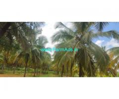 4 acre 4 kuntas coconut farm land for sale near Kunigal, Empire hotel