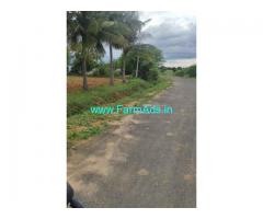 5.5 acres total farm land for sale at Dindigul.