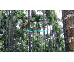 3.5 acre record total  6 Acre boundary farm for sale at Mangalore
