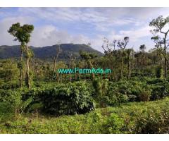 8 Acre Coffee plantation land for sale in Mudigere