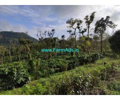 8 Acre Coffee plantation land for sale in Mudigere