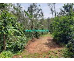 7.5 Acre Coffee plantation with Home stay For Sale near Sakleshpur