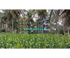 26 gunta coconut farm for sale 60 km from bangalore at channapatna.