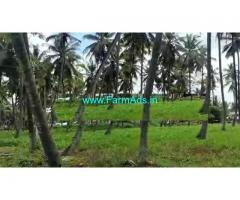 1 acre 20 gunta coconut farm for sale 60km from bangalore at channapatna