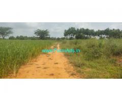 Total 5 acre 4 kuntas farm land for sale at Gubbi