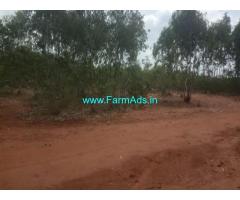 1.5 acres Agriculture Land for saleat Allalasandra, Thoobagere Hobli