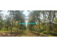 7 acre agriculture coconut farm land for sale near Gubbi