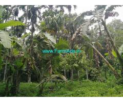2.5 Acres Farm land for sale Dharmasthala - Subramanya Road