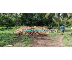 42 acre coconut farm land for sale at chemmanampathy, Palakkad