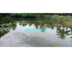 42 acre coconut farm land for sale at chemmanampathy, Palakkad