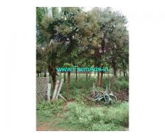 Well maintained 10 Acres  Areca plantation sale Near Hiriyur