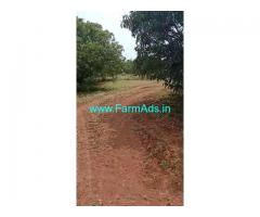 3.5 Acres Mango Farm for sale at Ramanagara, near Bangalore