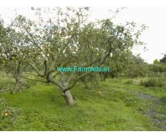 17 Acres Mango plantation for sale in Chikmagalur,Kadur Road