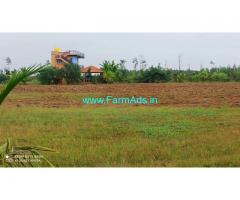 18 Acres Developed Farm land for sale at Kodihalli, near Hiriyur