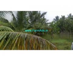 3 Acres Yielding Arecanut plantation for sale Babbur farm road, Hiriyur.