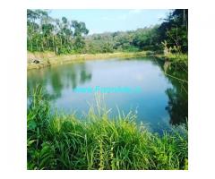 10 Acre well maintained Coffee estate with homestay for sale in Hassan