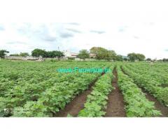 11 Acre Agriculture land for Sale in Sadasivpet