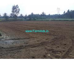 1.10 acre farm land for sale at Buchanahalli Village,  Doddabelavangala