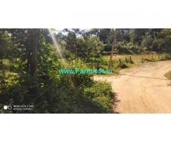 12 Acre Coffee Farm land for sale in Chikmagalur