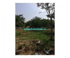 6000sq Ft Farm Plot for Sale near Kanchipuram