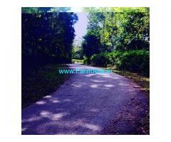 29 Acre Coffee Estate for sale in lower BabaBudanGiri