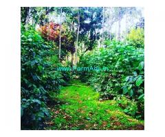29 Acre Coffee Estate for sale in lower BabaBudanGiri
