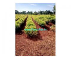 4 Acres Highway Agriculture Land for Sale near Kohir X Road