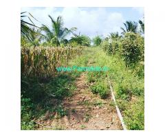 4 Acre Farm land for sale at Arasikere