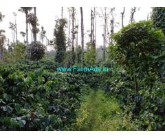 6.62 Acres Coffee Agriculture Land For Sale In Mudigere