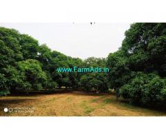 60 Acres agriculture land for sale in ChengalPattu Avanipur GST road