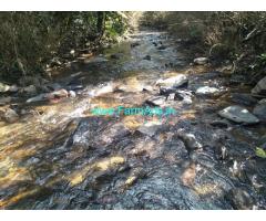 1.5 Acre plain agriculture land for sale in Mudigere