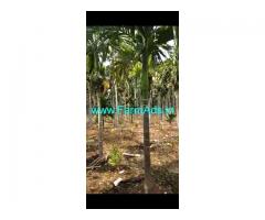 6 Acres Arecanut plantation for sale near Hiriyur