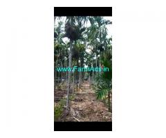 6 Acres Arecanut plantation for sale near Hiriyur