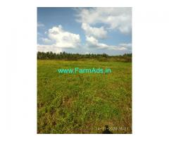 16 acre agriculture farm land for sale  near Turuvekere