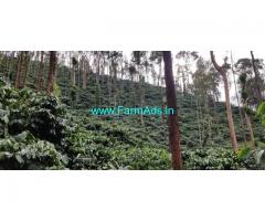15.5 acres coffee plantation is for sale between Sringeri and Horanadu