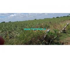 12 Acres Agriculture land for sale In Kankal