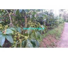 2 Acre Coffee Plot for sale at choyikolly, sulthan bathery road
