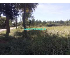 Half acre farm Land for sale at Mandi Byadarahalli village