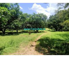 24 acres farm land for sale at Peeriyakulam, Theni