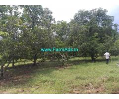 24 acres farm land for sale at Peeriyakulam, Theni