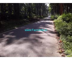 10 acres Coffee Estate for sale virajpet and mysore state highway