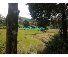 95 cents neglected Coffee estate for sale in Madikeri