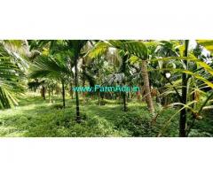 Urgent Sale Of 75 Cents Areca Farm In Bantwal