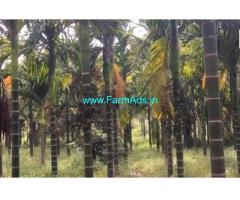 1.30 Acres Arecanut plantation for sale in Thondabhavi,Bangalore highway