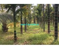 1.30 Acres Arecanut plantation for sale in Thondabhavi,Bangalore highway
